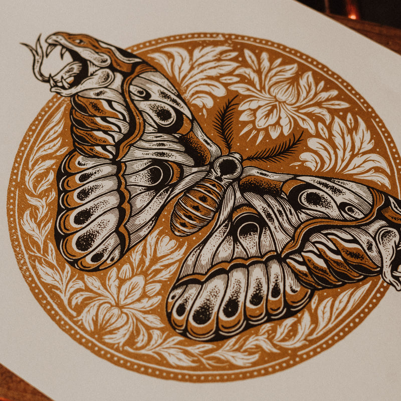 Attacus Atlas Pattern ATTACUS ATLAS - A3 SCREEN PRINT – Thirteensupply.co